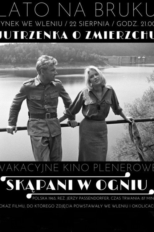 Постер фильма «Крещённые огнём»
