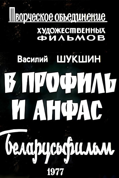 Постер фильма «В профиль и анфас»