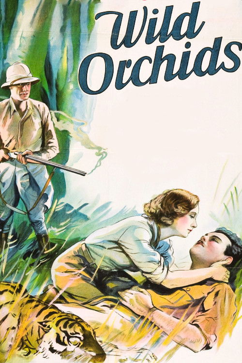 Постер фильма «Дикие орхидеи»