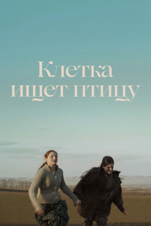 Постер фильма «Клетка ищет птицу»