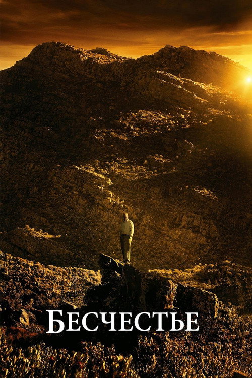 Постер фильма «Бесчестье»