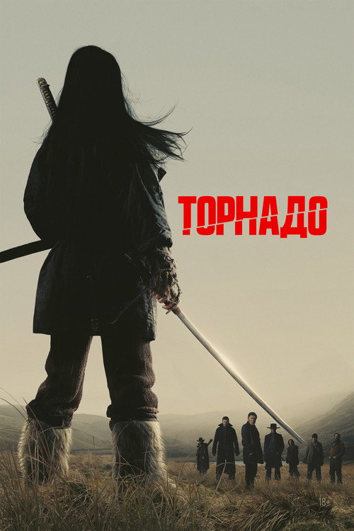 Постер фильма «Торнадо»