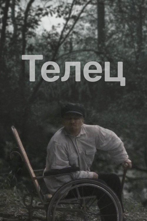 Постер фильма «Телец»